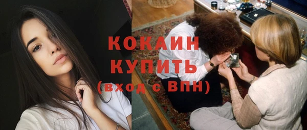 бошки Богородицк