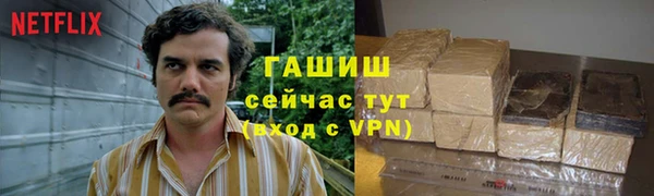 ECSTASY Богданович