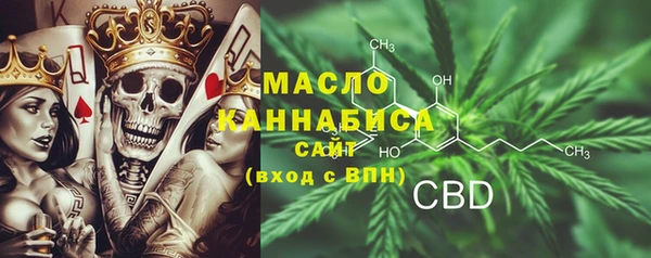 ECSTASY Богданович