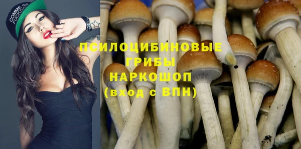 метадон Белокуриха