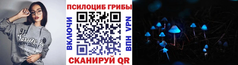 маркетплейс клад  Касли  Псилоцибиновые грибы мицелий  цены  